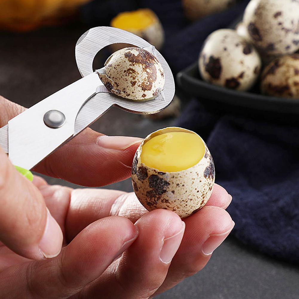 Pigeon caille fissure ouverte  - Egg Separator Tool avis et prix